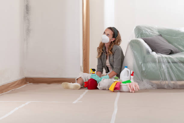 Reliable Commercial Mold Remediation contractor in Brandywine, MD by WQB Mold Removal